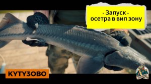 24.06 запуск осетр в вип зону