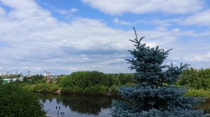 24-06-2025 Девчачий наборы для сада. Городские прогулки.