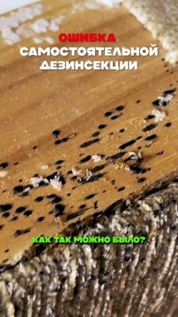 Ошибка самостоятельной дезинсекции