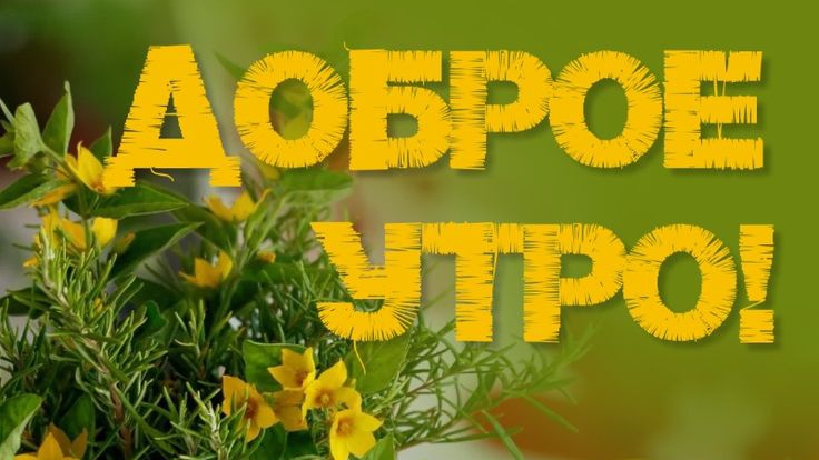 Открытка. Доброе утро🌄🙋