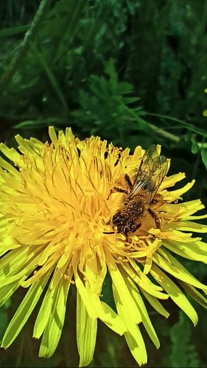 Не обожгите крылья бабочки, автор Наталия Говорухина