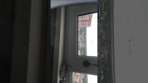 VID_20250624_165622.mp4