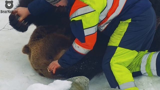 Помидор с орешками на полдник