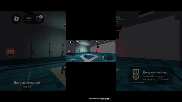 играю игра с котятами