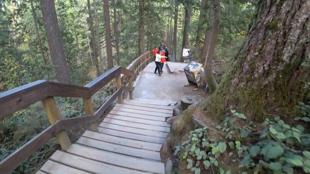 КАНАДА/ПАРК КАНЬОН ЛИНН/ПОДВЕСНОЙ МОСТ/ХЭЛЛОУИН/CANADA/LYNN CANYON PARK/SUSPENSION BRIDGE/HALLOWEEN
