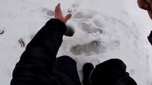 Рыбалка на жерлицы на Шексне!