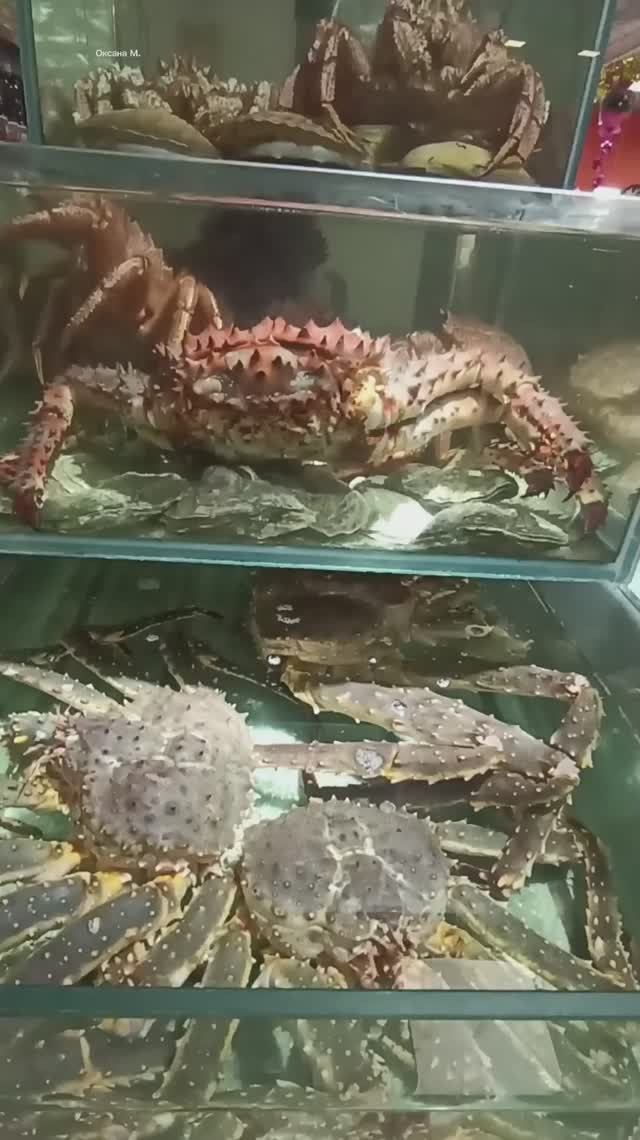 Живые крабы в торговом центре.mp4