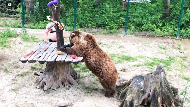 Подарки для Мансурки