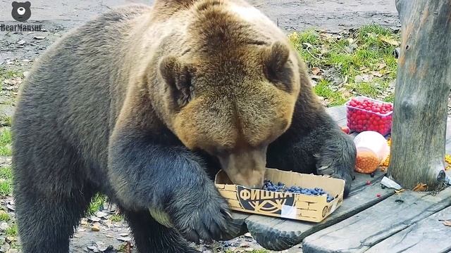 Витаминизируемся перед зимой