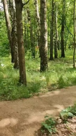 Наконец-то дошли до лесопарка 🙂