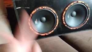 Gryphon Pro 250 Midbass
мидбасы от dl audio