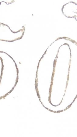 То что скрыто I 50 пенни 1917 года Серебро I Русская Финляндия I Цена #редкие #coin #монеты #silver