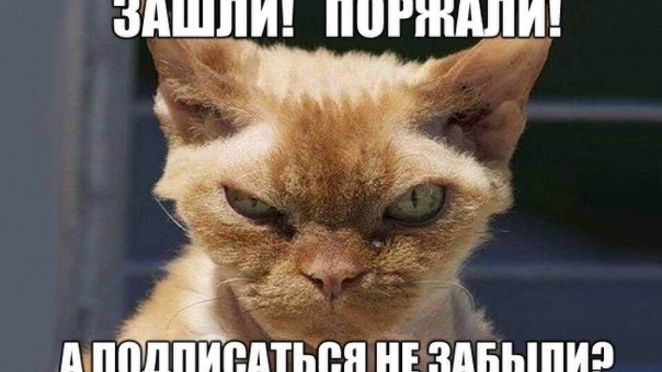 ЗАБАВЫ И ПРИКОЛЫ, КОЛЛЕКЦИЯ ЮМОРА