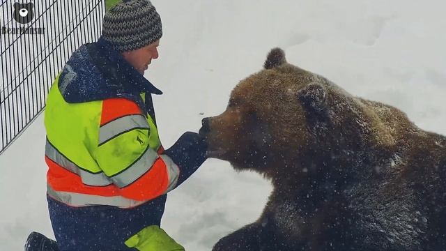 Яблочные выходные