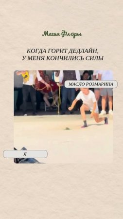 Масло номер один для усиления работоспособности — розмарин цинеольный 💫