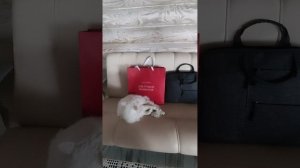 А вы знали, что к деньгам? 👌100👌