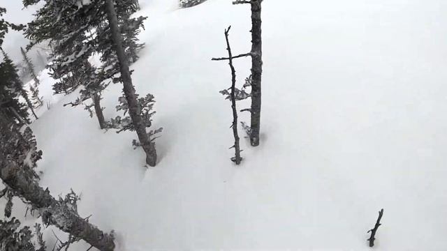 MEGA POWDER DAY ШЕРЕГЕШ FREERIDE по лесам на KORUA SHAPES. Доллар Панорама. DRUM N BASS