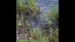 Рыбалка на фидер