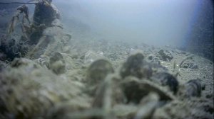 1000045237.mp4Волга гл.5м.24.06.2025г.
