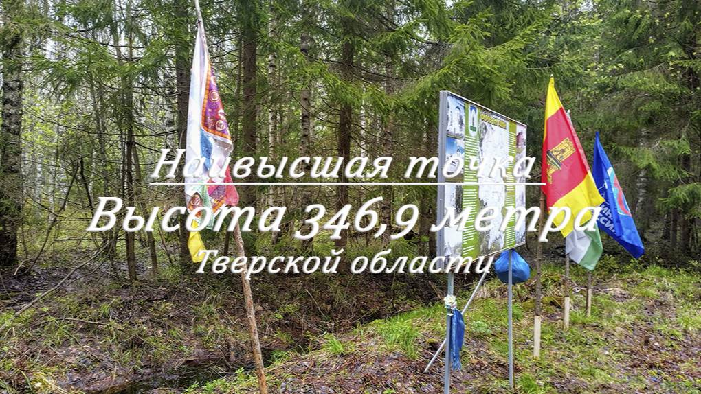 Высота 346,9 метра. Наивысшая точка Тверской области. Макушка Валдая.