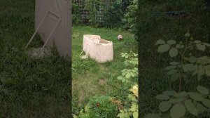 HnVideoEditor_2025_06_24_134103231