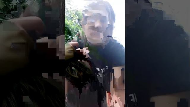 обзор