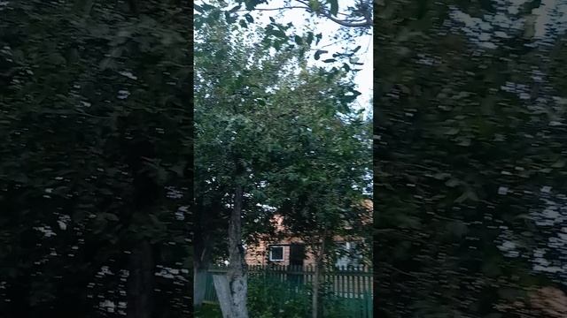 24.06.2025