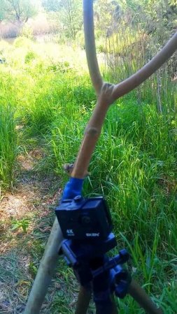 Улов есть Начало Положено