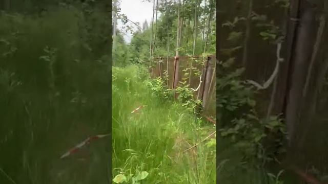 1000088734.mp4