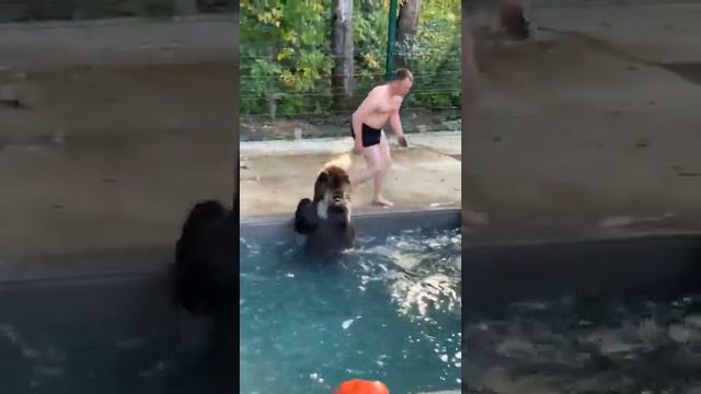 Совместное купание♂️ Прямая трансляция инстаграм @mansurbear 20.08.19