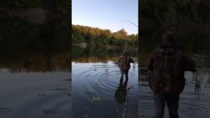 карп на пикер.mp4