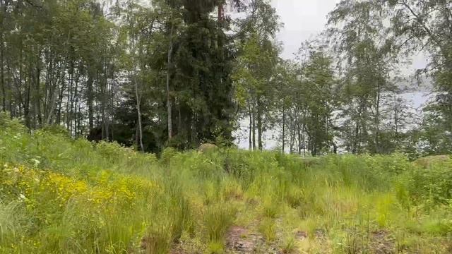 В продаже участок 30 соток в коттеджном поселке Сосновый пляж !! Первая линия !!! смотреть онлайн