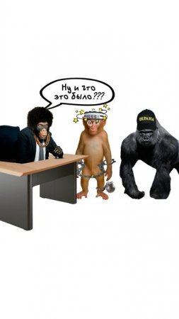 Третий Закон Ньютона на Обезьянках ТГ: globalee_phys