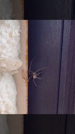 Музыкальная пауза 😉✌😂😂😂