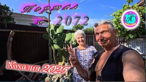 #Абхазия2025🌴 24 июня. Выпуск №2072🌡вчера +27°🌡ночью  +14°🐬море +21,5°❗
