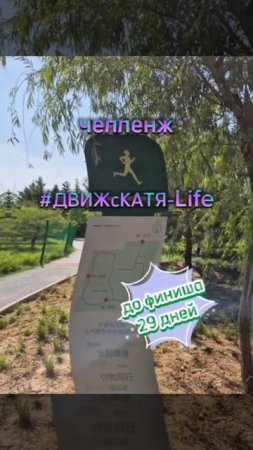 ⚡ ЧЕЛЛЕНДЖ ⚡

️ #ДВИЖсКатейLife