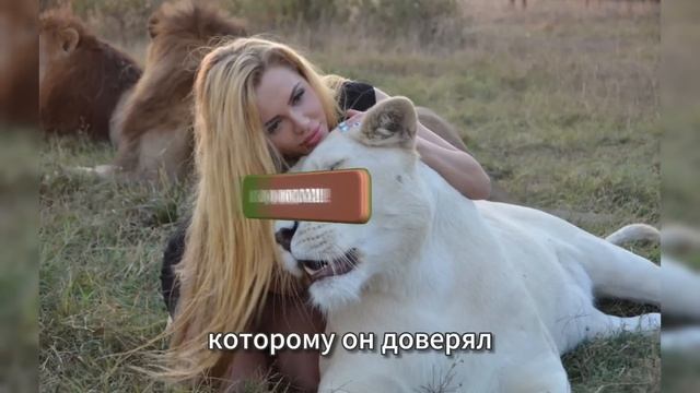 Что случилось в „Тайгане“ на самом деле Он не думал, что это произойдёт с ним…