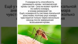 ЭТО НАДО ЗНАТЬ ВСЕМ #природа #насекомые #лучшее #интересно #топ #нравится #топкатегорий