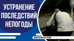 В Сочи устраняют последствия непогоды