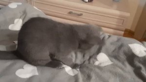 Это что за красный шар, не могу его догнать но скоро я его поймаю)
