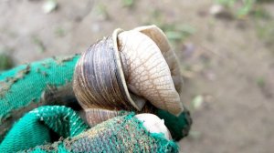 Коп № 202 Поиск на очищенной реке