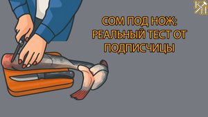 Разделка сома: подписчица тестирует наш филейный нож
