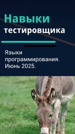 Навыки тестировщика. Языки программирования для тестировщика. Июнь 2025.