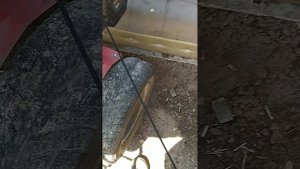 VID_20250624_135530.mp4