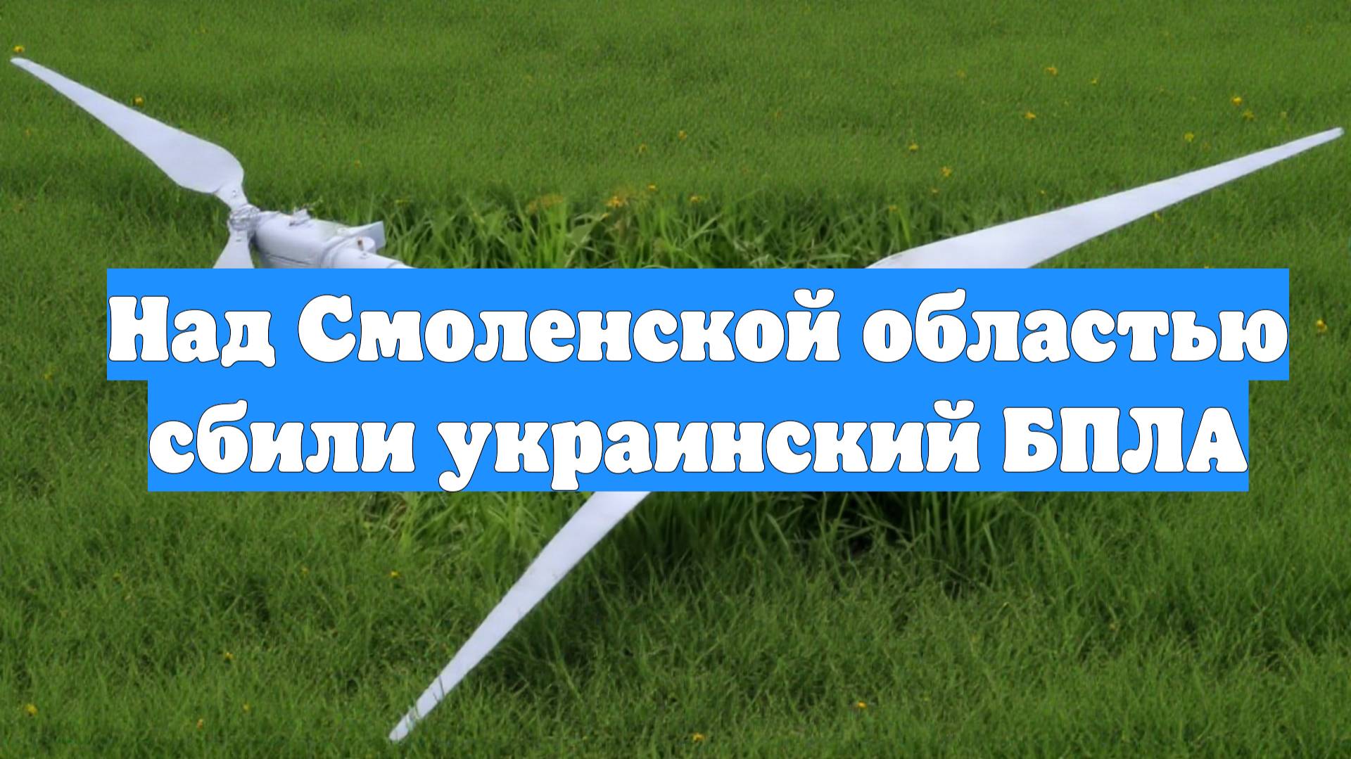 Над Смоленской областью сбили украинский БПЛА