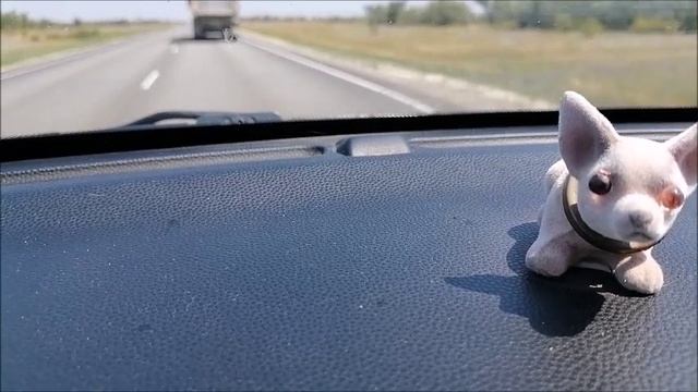 Тетя Мотя просит подписчиков ее постоянно спонсировать