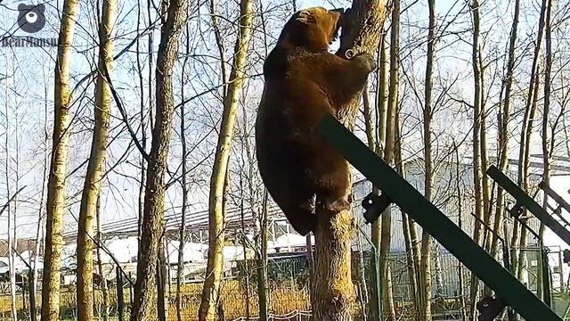 Проверка воздушного пространства