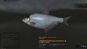 Fisher Online  КАЗАХСТАН БЕЛОГЛАЗКА АРАЛЬСКАЯ