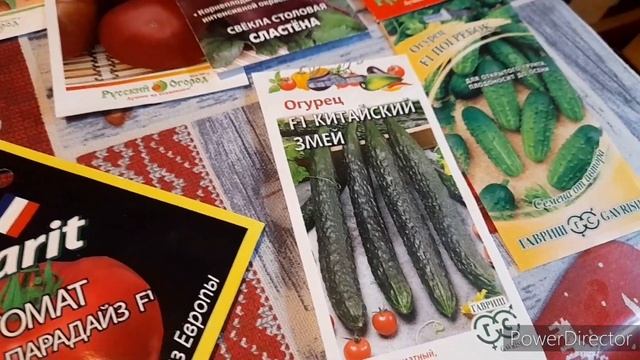 Куры не хотят!?)//Что сею на рассаду?/Life in the South of Russia