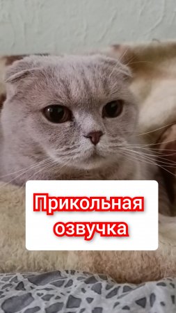 прикольная озвучка.
